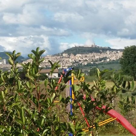 B&B La Gioiosa Assisi Buitenkant foto