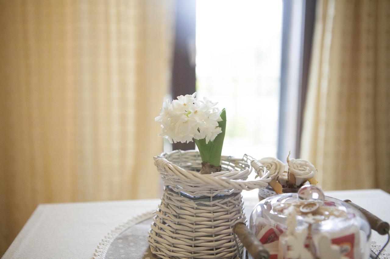 B&B La Gioiosa Assisi Buitenkant foto
