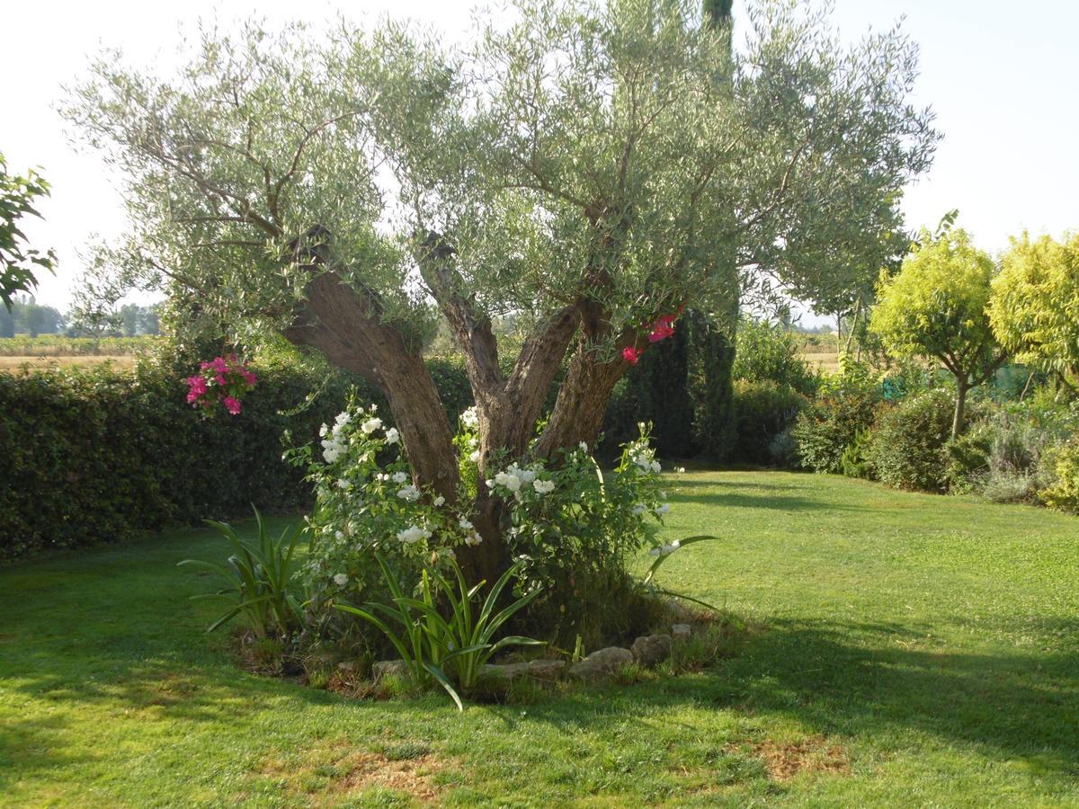 B&B La Gioiosa Assisi Buitenkant foto