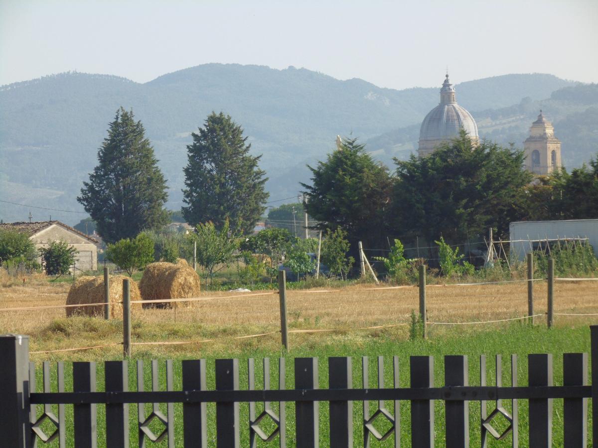 B&B La Gioiosa Assisi Buitenkant foto