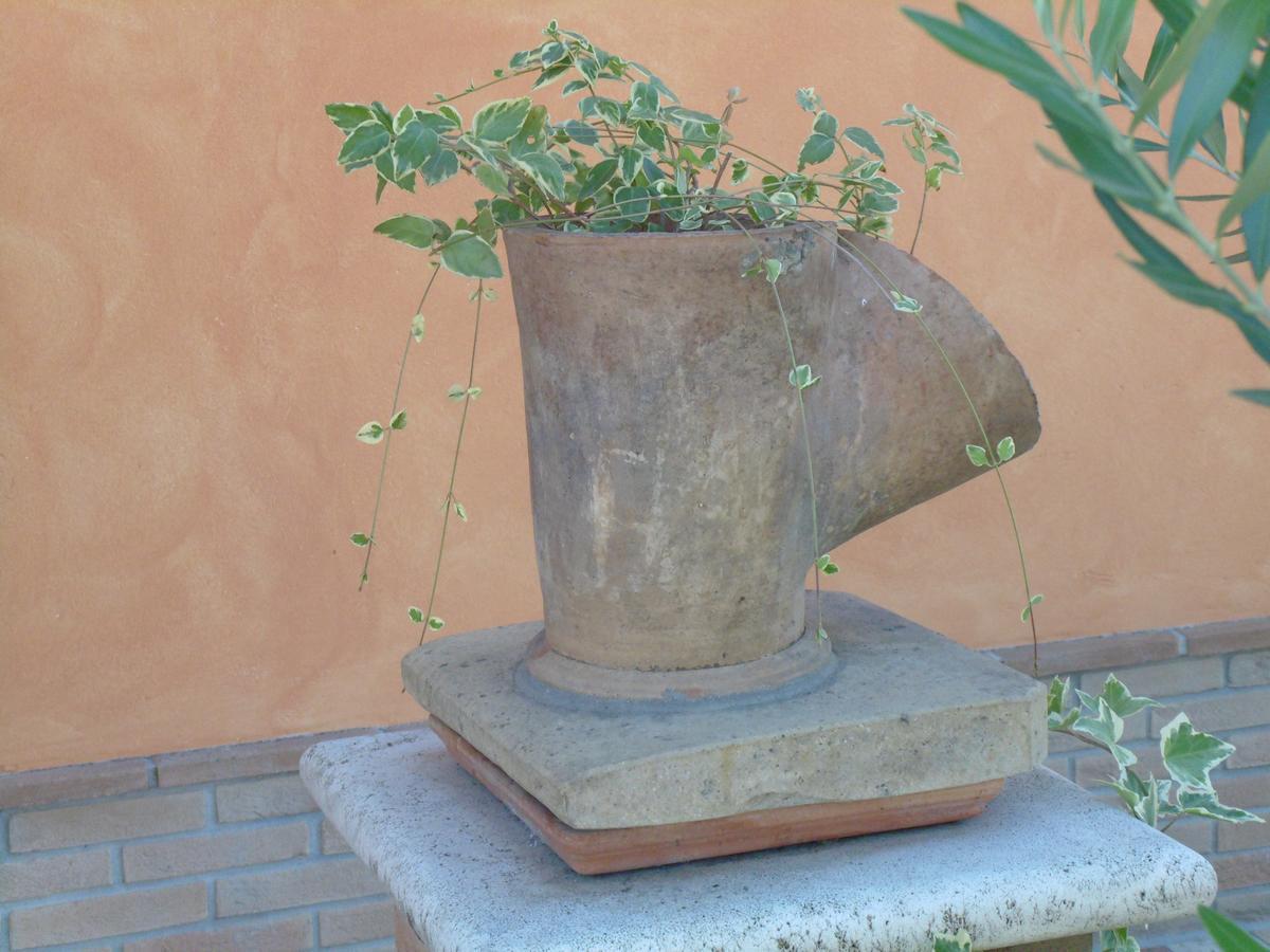 B&B La Gioiosa Assisi Buitenkant foto